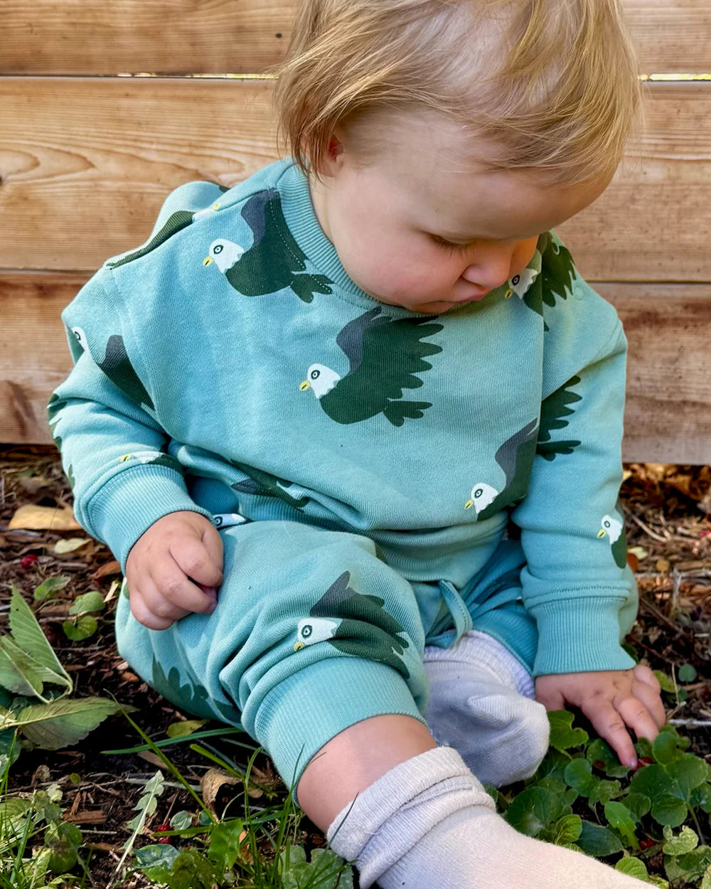 Baby Sweatshirt - Eagle/Forest