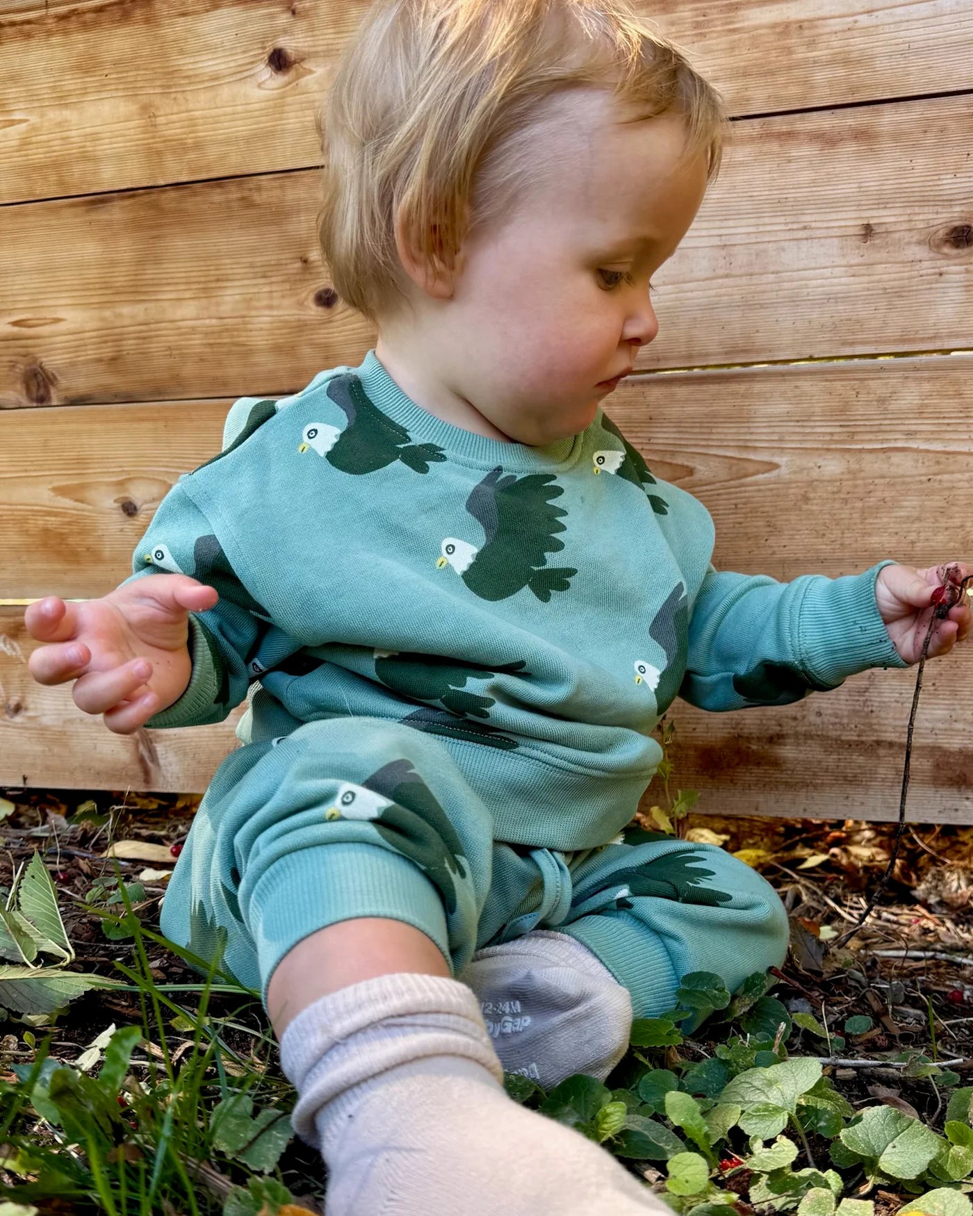 Baby Sweatpants - Eagle/Forest