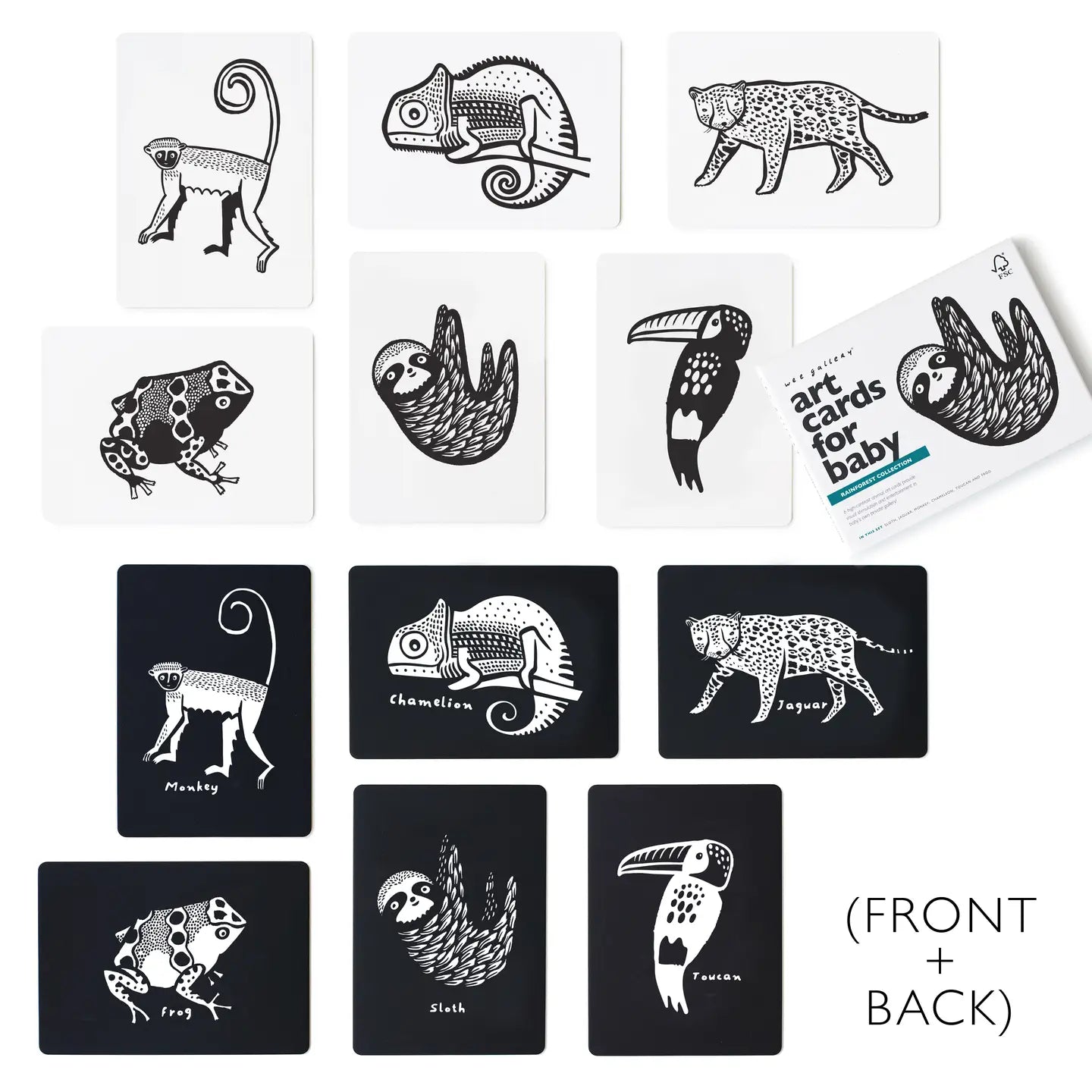 Art Cards For Baby - Rainforest