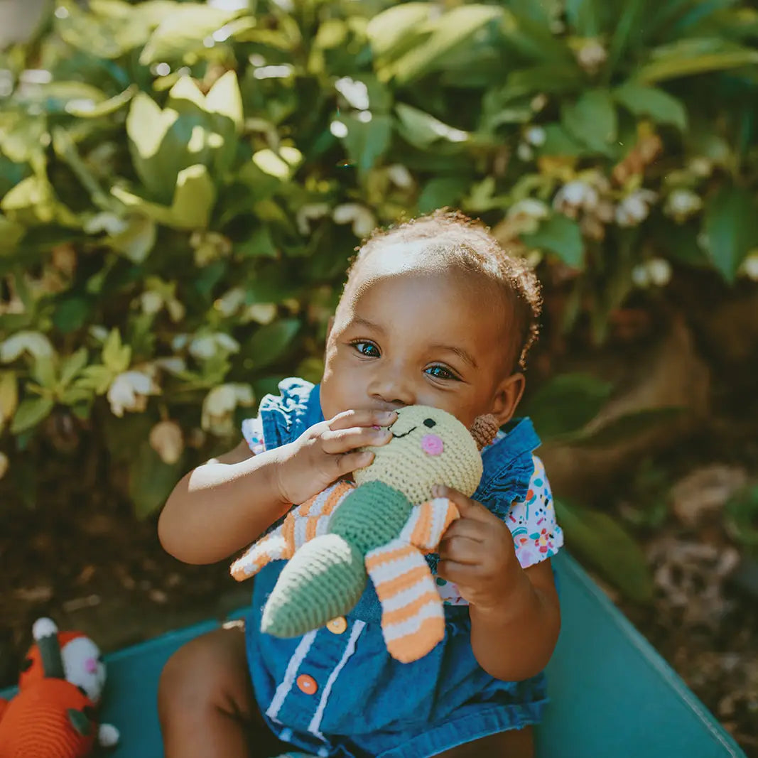 Dragonfly Toy Rattle