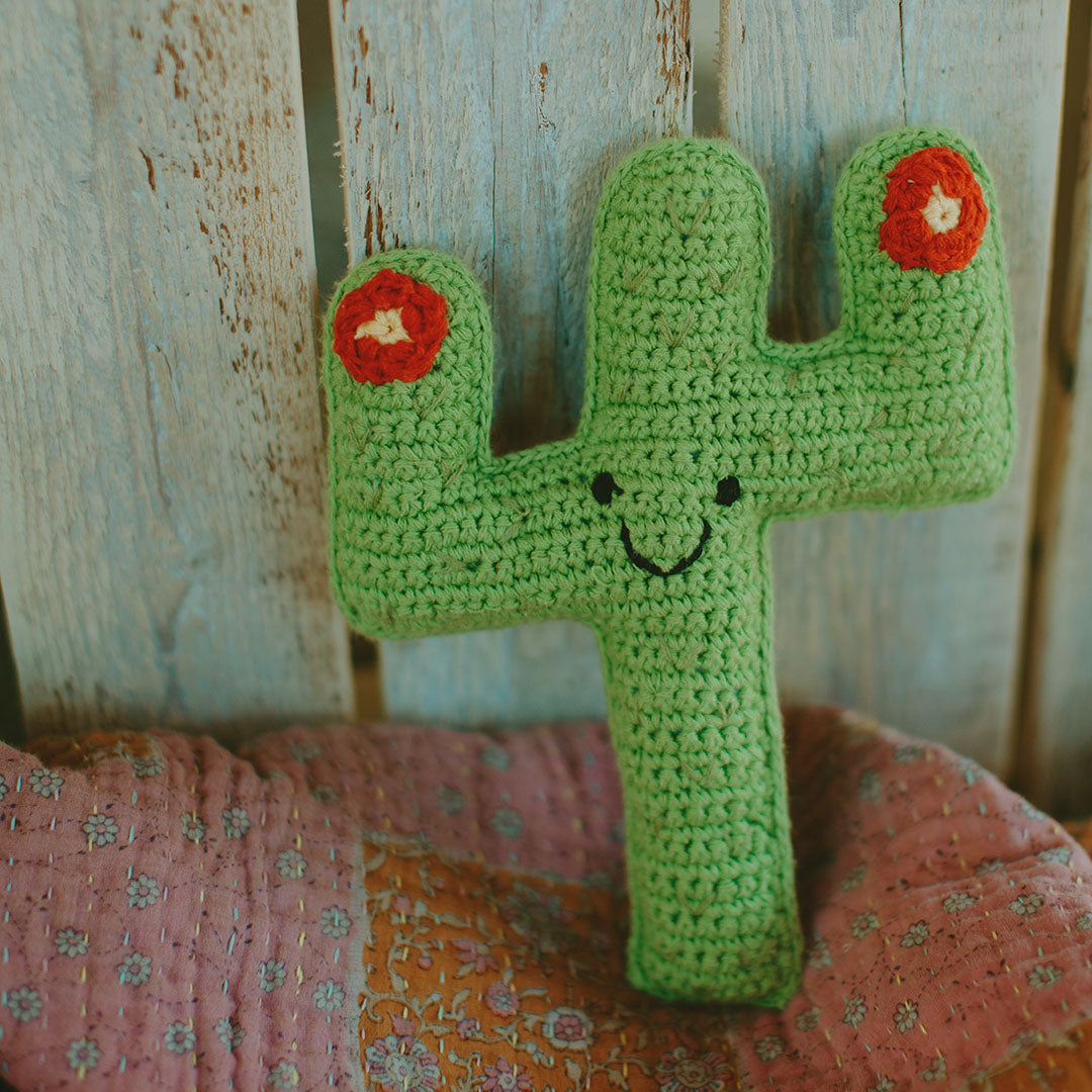 Friendly Cactus Buddy Rattle
