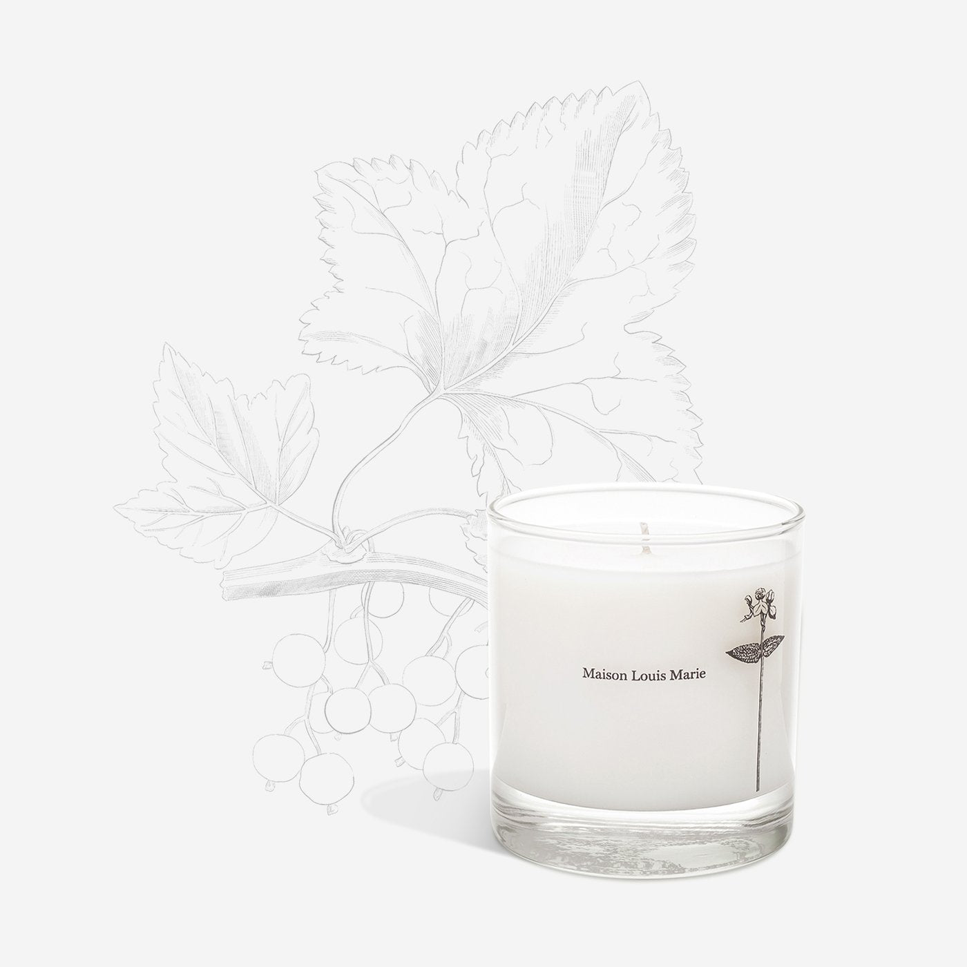 Antidris Cassis Candle