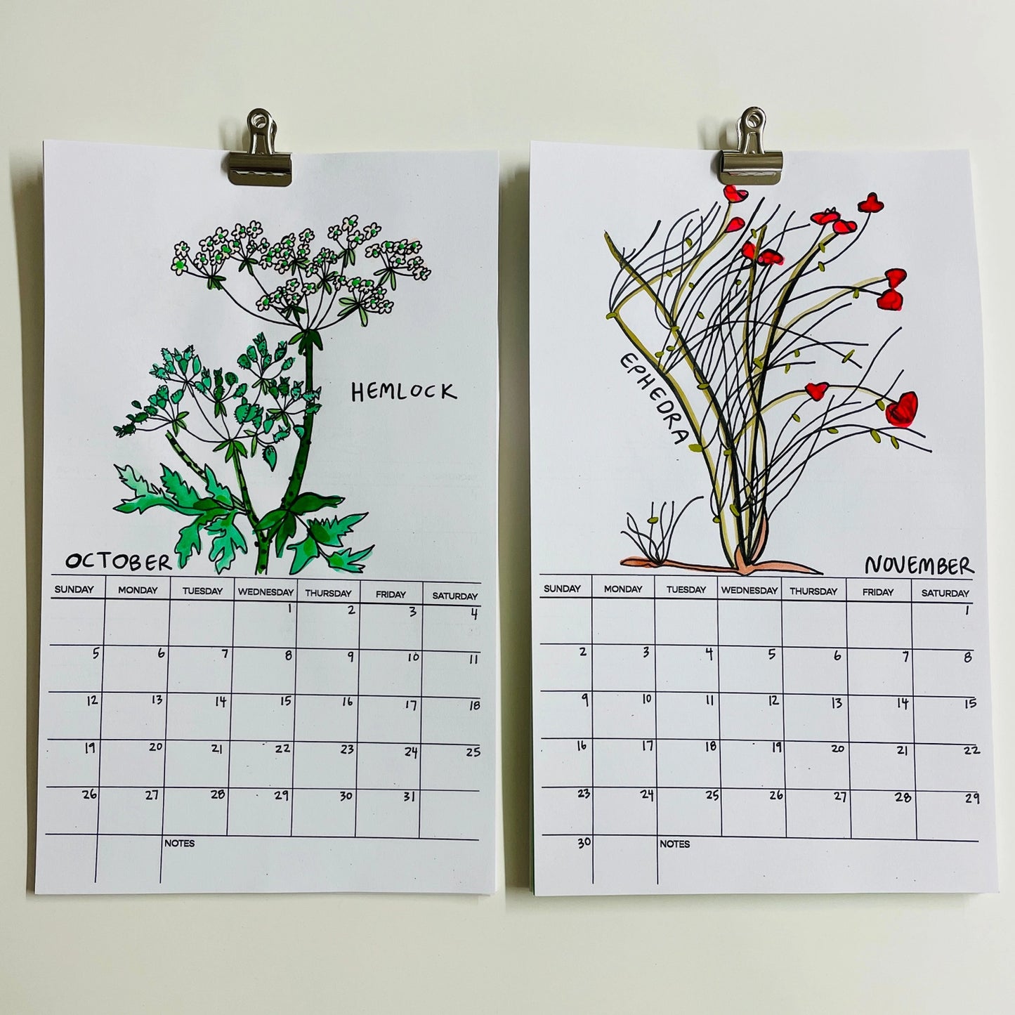 Hallucinogenic Plant A Month 2025 Calendar