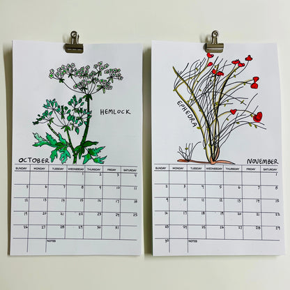Hallucinogenic Plant A Month 2025 Calendar