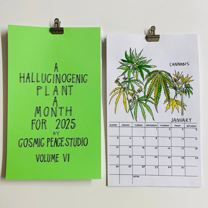 Hallucinogenic Plant A Month 2025 Calendar