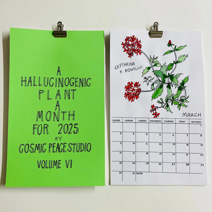 Hallucinogenic Plant A Month 2025 Calendar