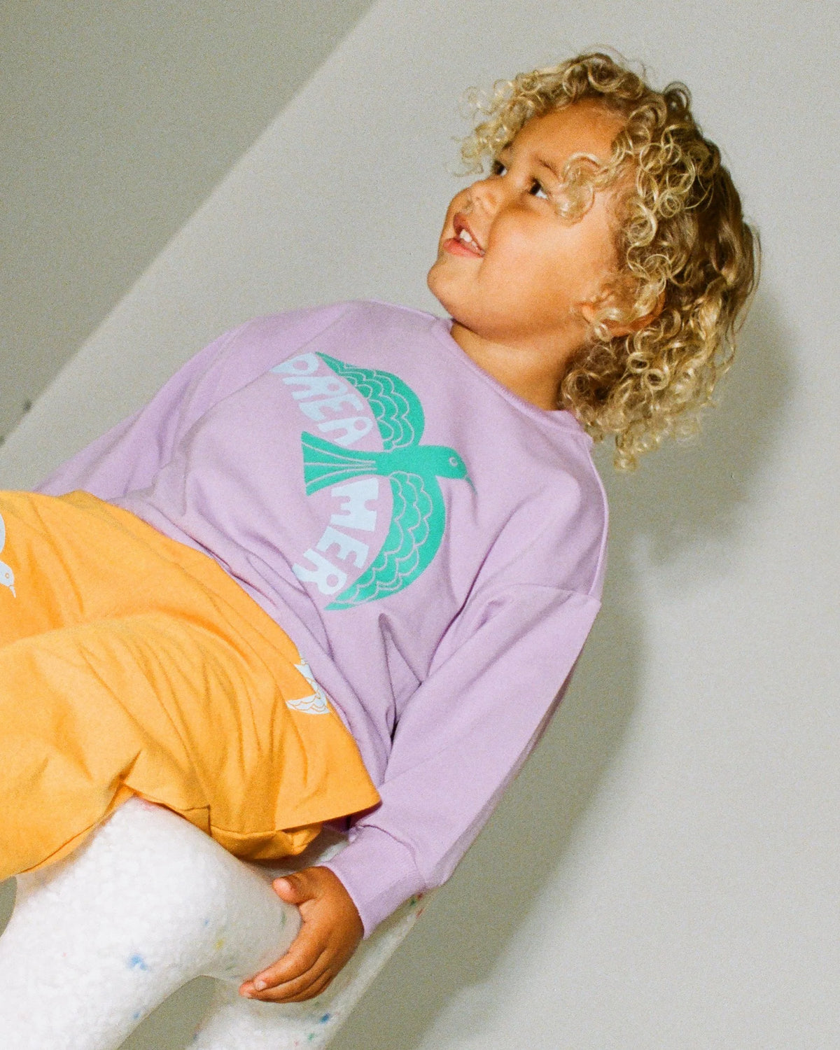 Graphic Sweatshirt - Purple Bird
