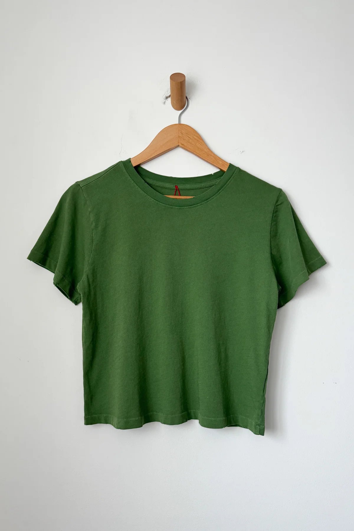 Darling Tee -  Monstera