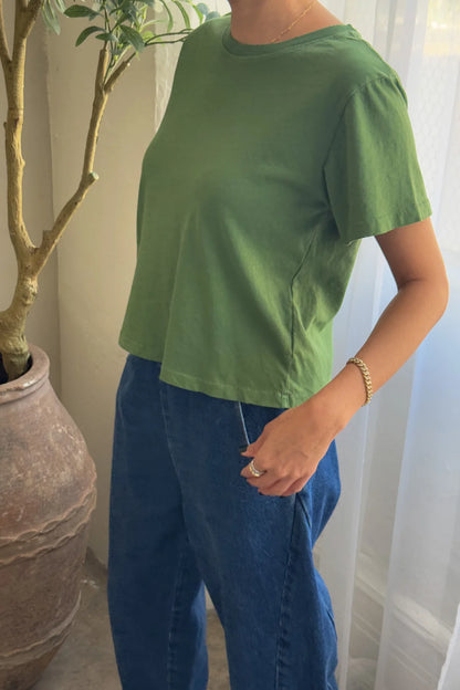 Darling Tee -  Monstera