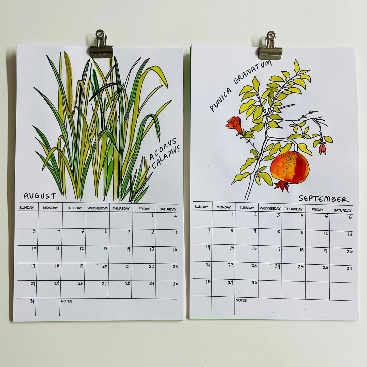 Hallucinogenic Plant A Month 2025 Calendar