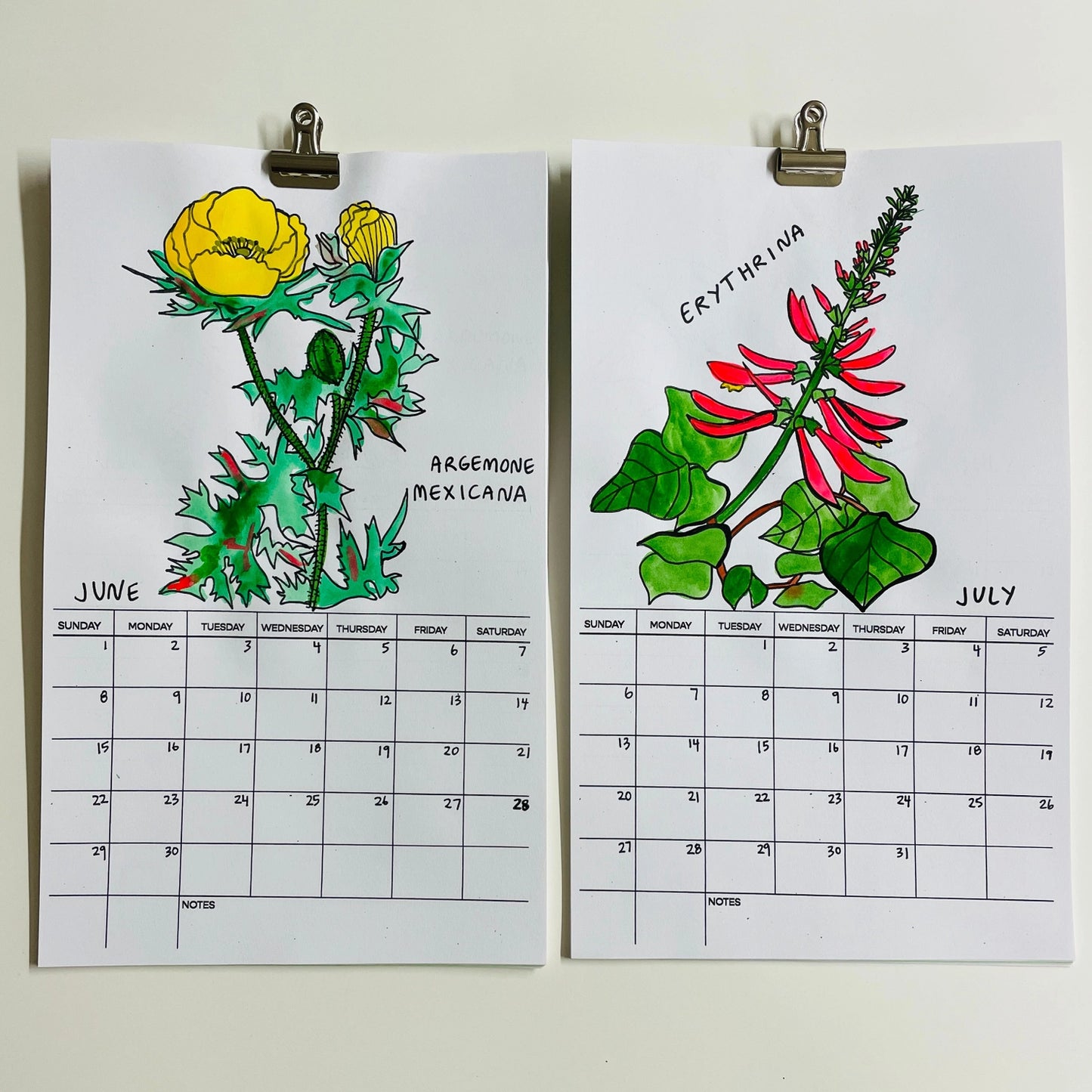 Hallucinogenic Plant A Month 2025 Calendar