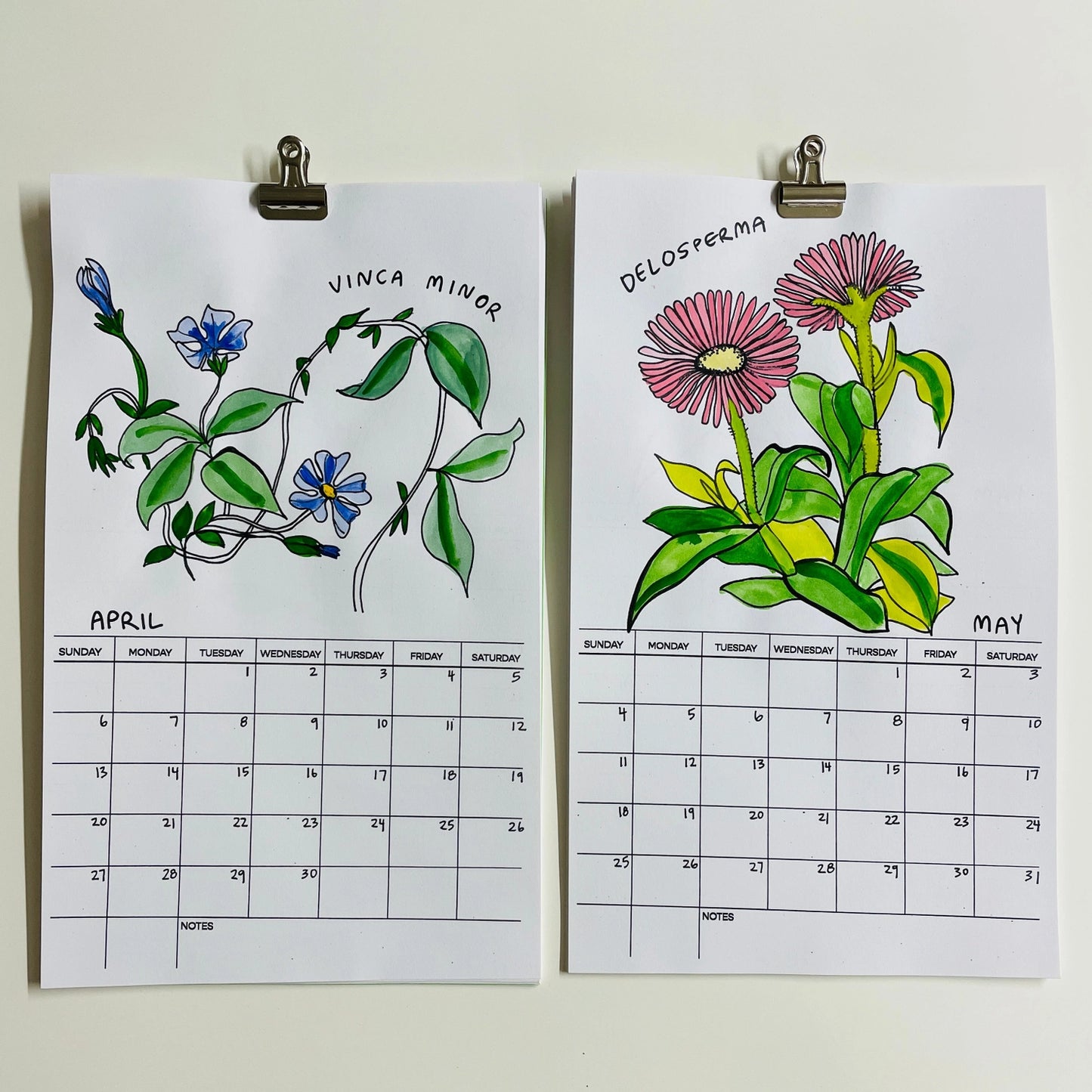 Hallucinogenic Plant A Month 2025 Calendar