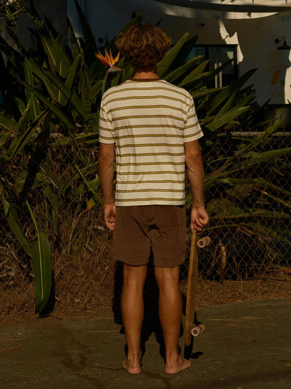Hemp Tee - Brown and Gold Stripe