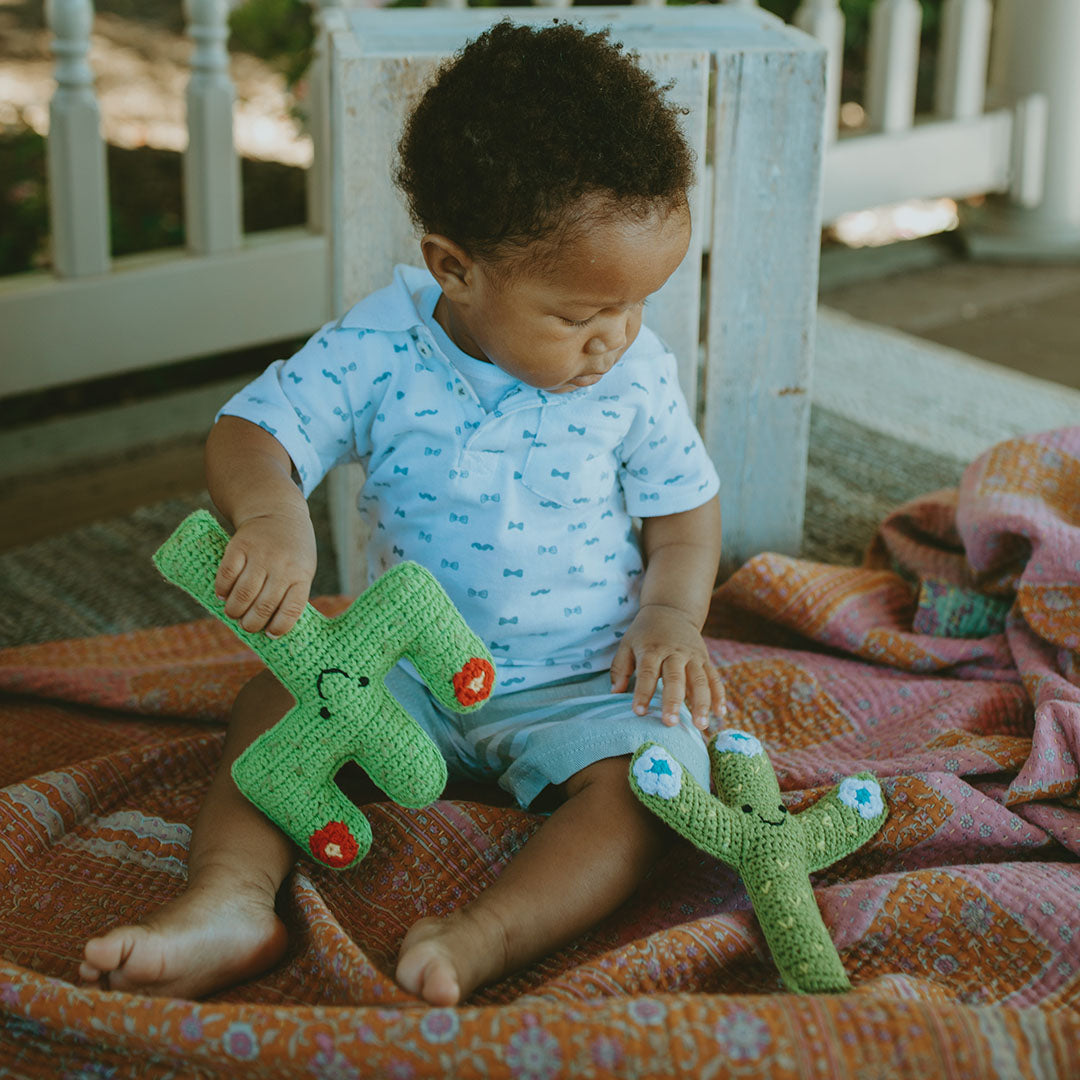 Friendly Cactus Buddy Rattle